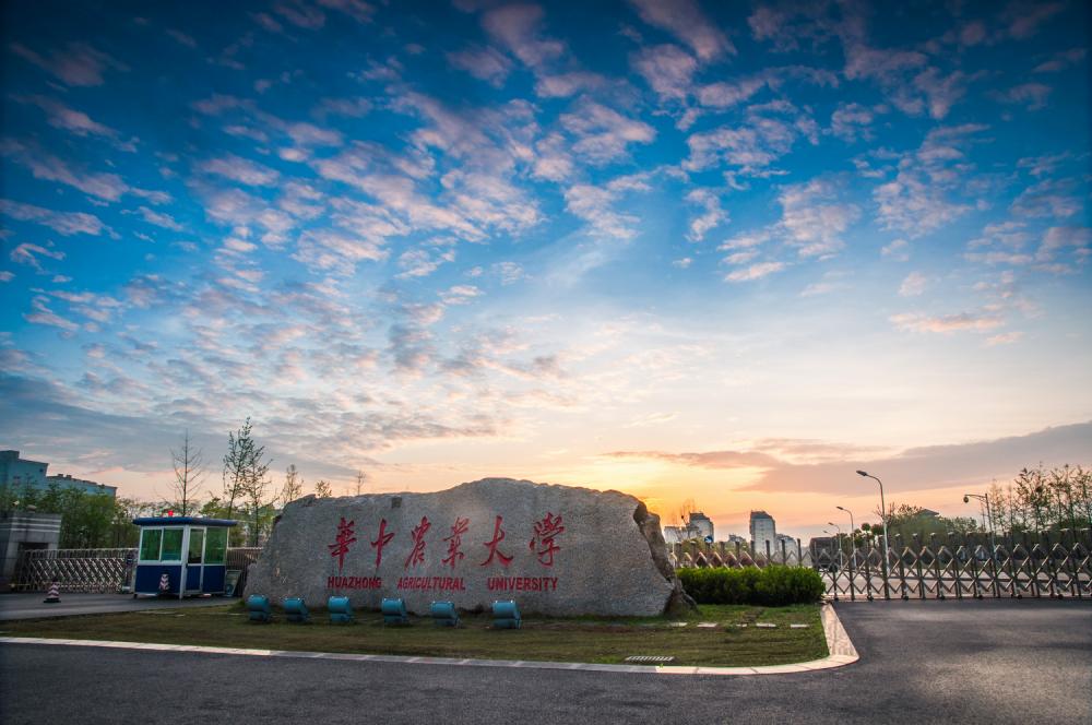 再聚首，青春依旧：华中农业大学农学系84级毕业30周年