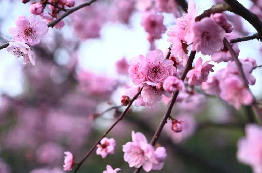 湖北工业大学工民建95级相识20周年聚会